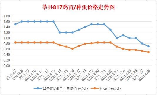 今日鸡苗市场深度解析，最新价格与走势分析