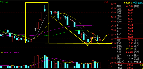 神州信息股票最新行情深度解析