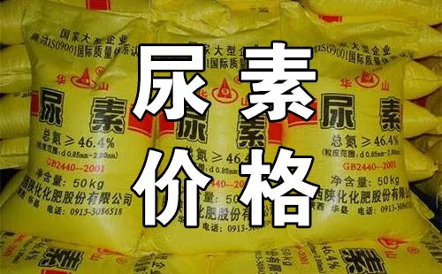 今日尿素最新价格走势分析