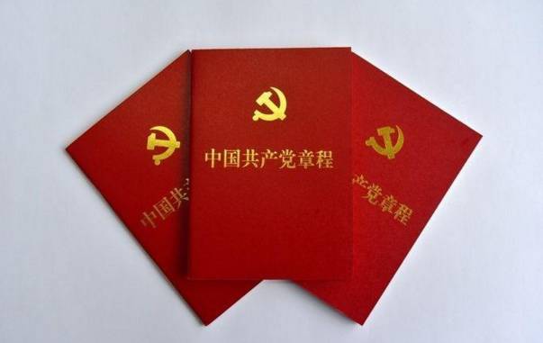 深入解析最新版党章的内涵与意义