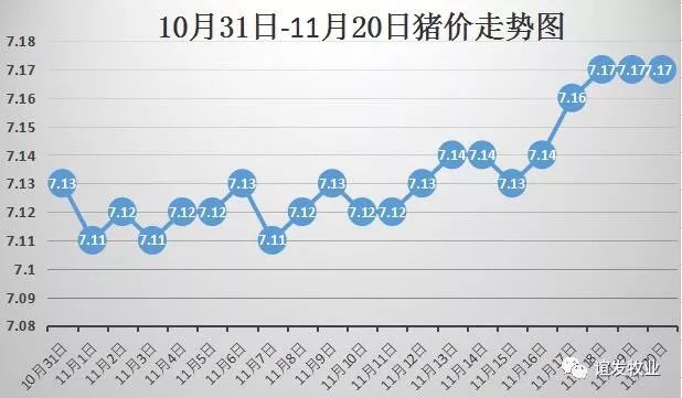 河南生猪价格今日动态更新