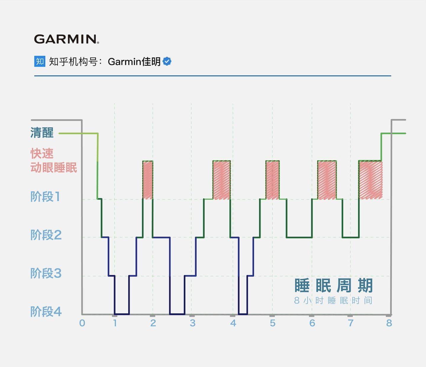 白小姐今晚特马期期准六,数据驱动分析解析_WP版48.16