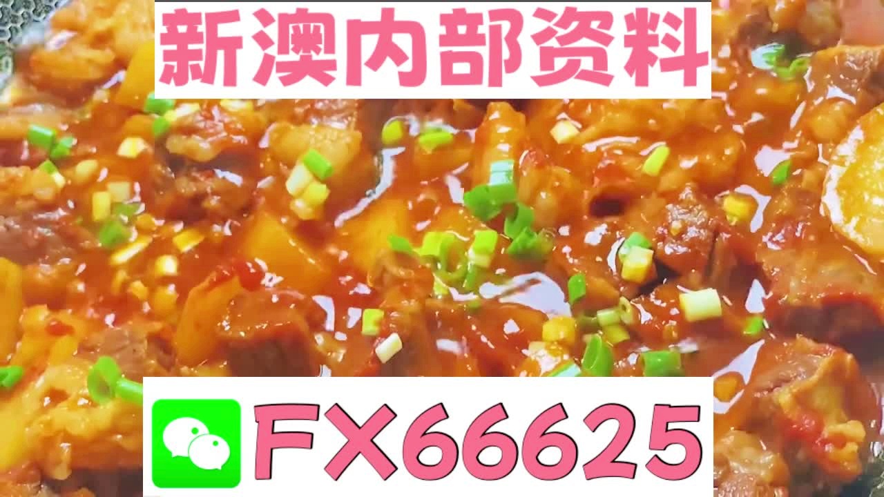 新奥门特免费资料大全管家婆料,前沿解答解释定义_XE版74.552