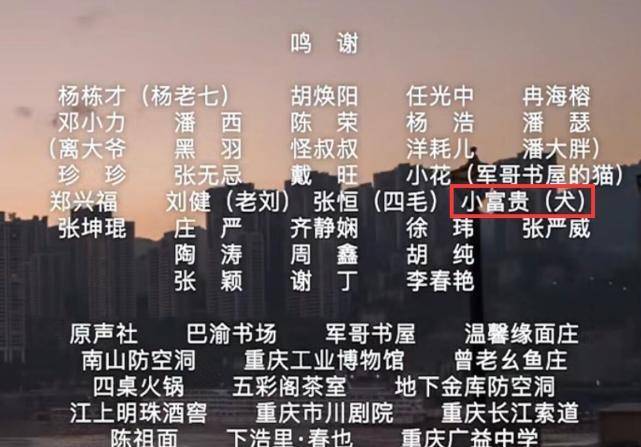 最准一码一肖100%精准老钱庄揭秘,前沿说明评估_VR版16.781