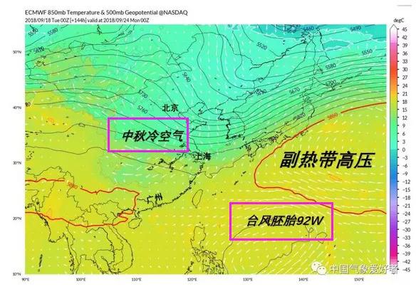 顺德台风最新动态及影响分析