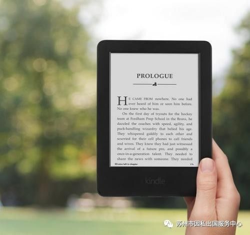 新澳好彩免费资料大全,综合数据解析说明_Kindle10.386