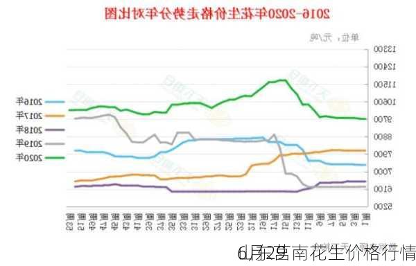 山东花生价格最新行情解析