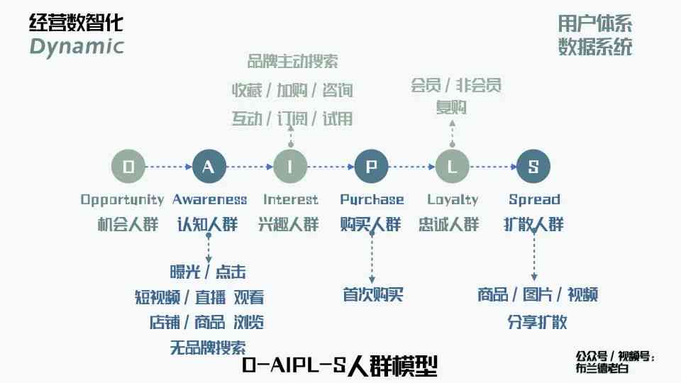 人乱AN乱Alv老人乱,深层数据计划实施_精英版24.228