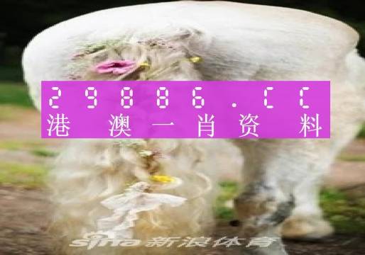 今晚一肖一码澳门一肖四不像,调整计划执行细节_QHD版18.815