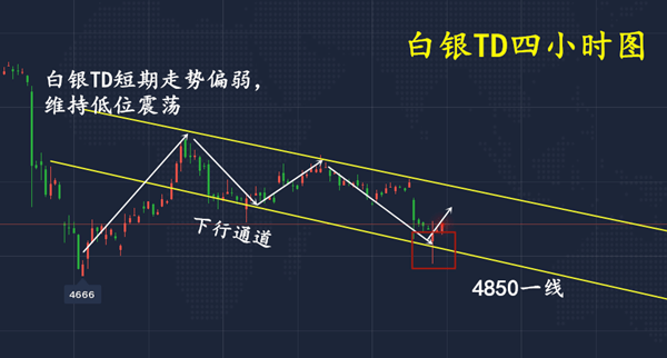 №日光边境↘ 第4页