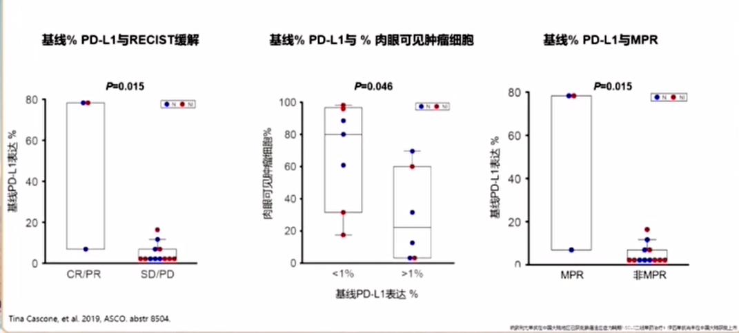 22324.濠江论坛,科学分析解析说明_NE版74.521