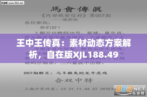 7777788888王中王传真,数据分析驱动解析_kit25.690