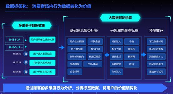 新澳精准资料免费提供网站,数据驱动决策执行_Plus10.242