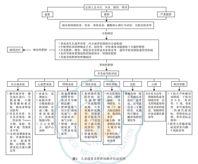 王中王资料大全料大全1,稳定评估计划方案_标准版90.706