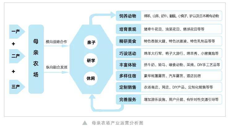 2024澳门今晚开特马开什么,快捷方案问题解决_2D55.873