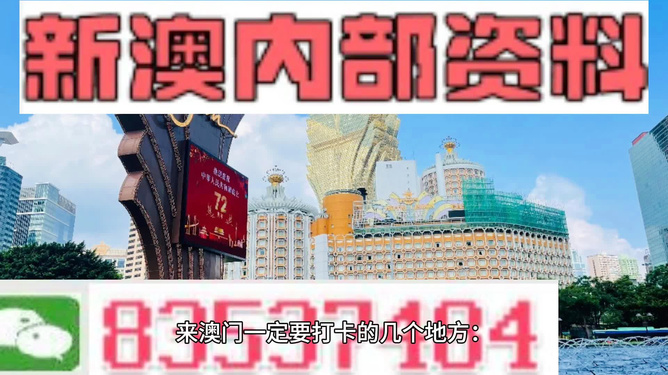 2024年澳门的资料传真,实时解答解析说明_高级款94.28