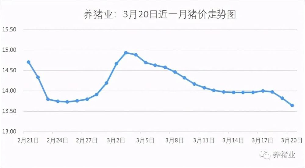 今日猪价走势分析与最新价格预测