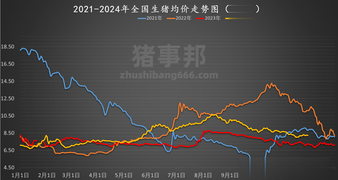 2024年12月4日 第14页