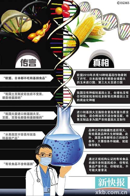 转基因科技最新动态，挑战与机遇并存