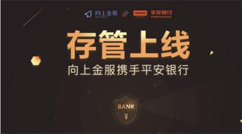 向上金服最新动态解读，行业趋势与企业发展概览