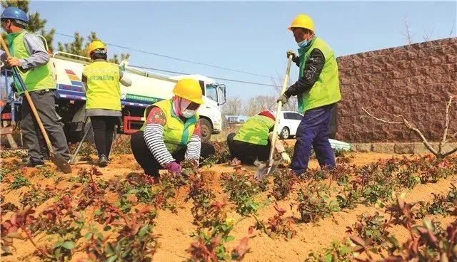 草湖沟村委会领导团队最新概览