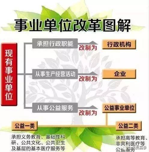 事业编改革最新动态，深度解读及前景展望