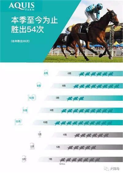 香港今晚开特马+开奖结果66期,全面设计执行方案_AR43.995