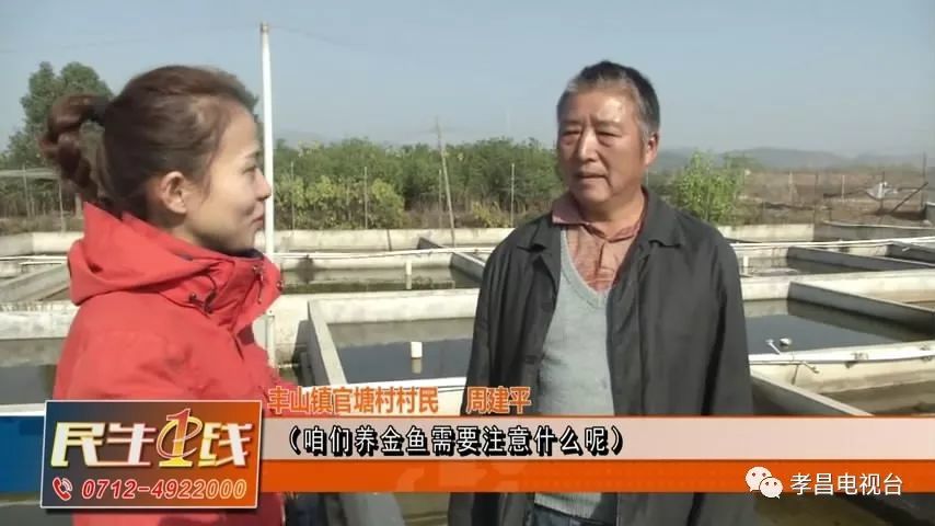 金鱼村民委员会领导团队介绍