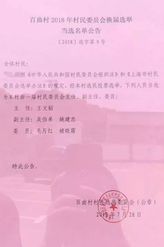 茶园村委会人事任命新成员，村级治理迈向新台阶