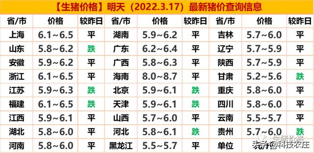 今日猪价预测及市场走势分析与未来展望