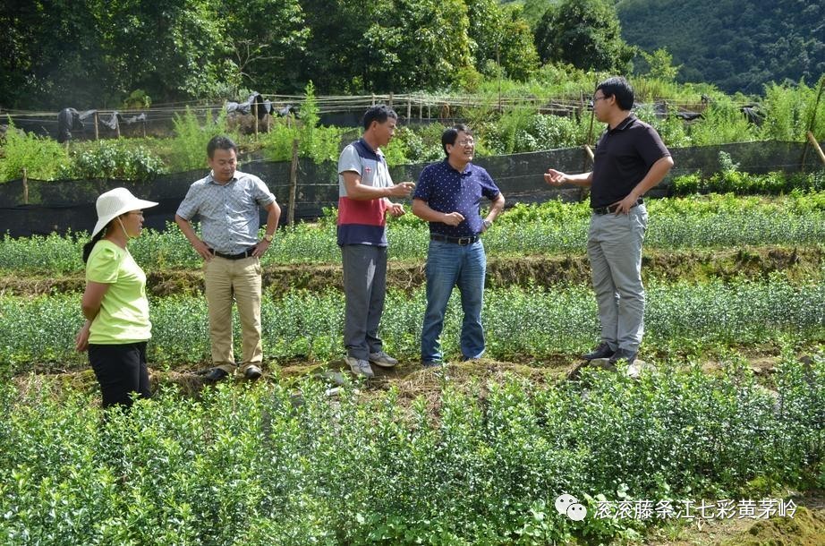 黄茅岭乡新领导团队引领乡村开启崭新篇章