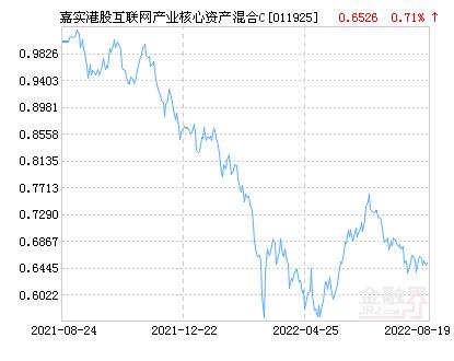 投资领域核心关注点，最新净值解析