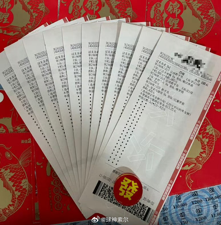 澳门王中王100的资料20,定性说明评估_专业款23.41