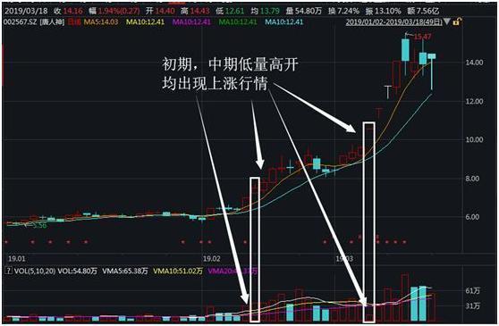 三期必出三期内必开一期,理论解答解析说明_Advanced15.768