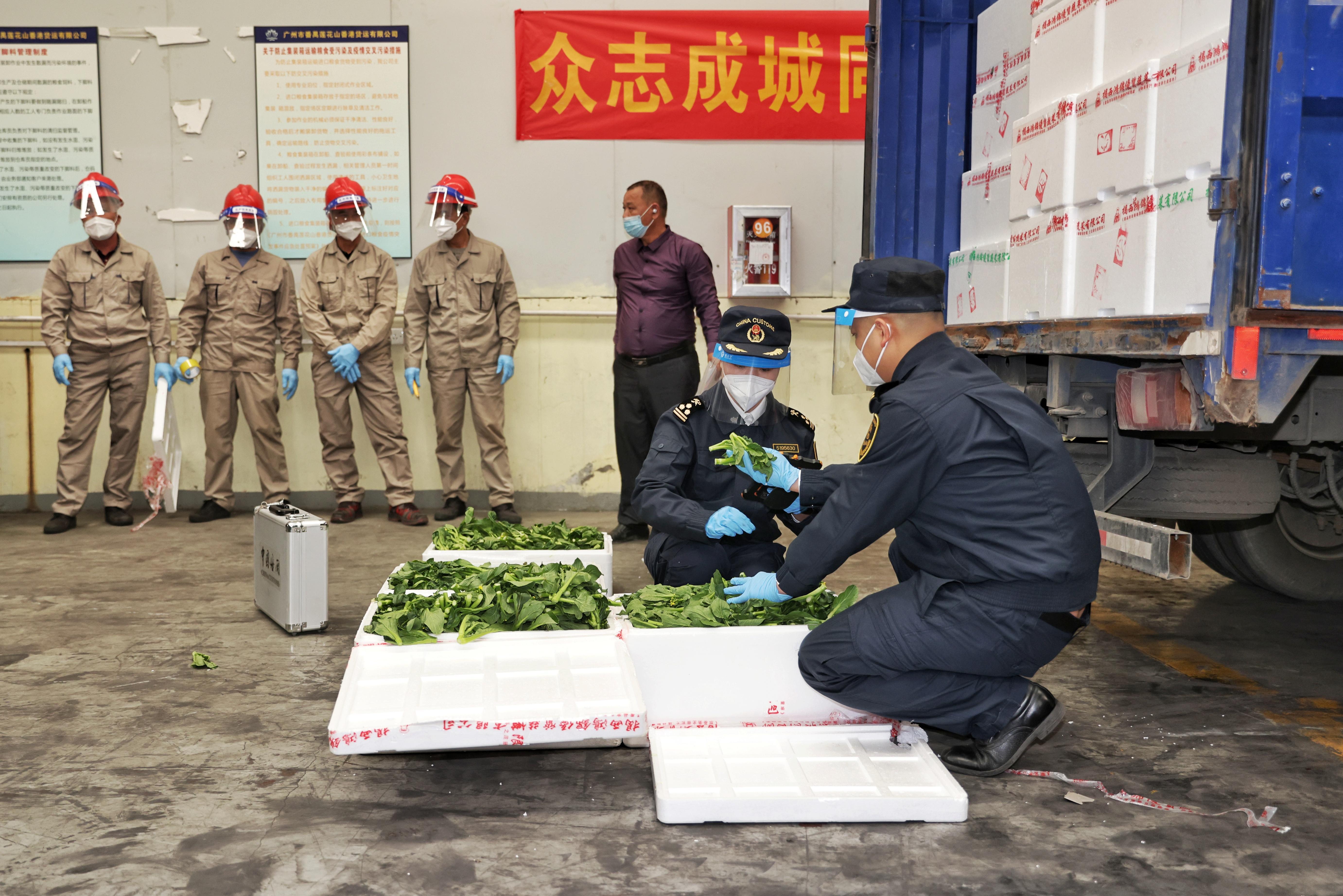 揭西县应急管理局启动新项目，构建现代化应急管理体系