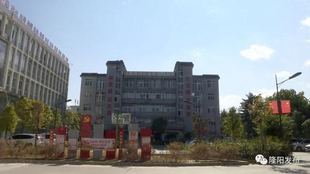 隆阳区防疫检疫站发展规划，构建健康防线，推动区域健康事业蓬勃发展