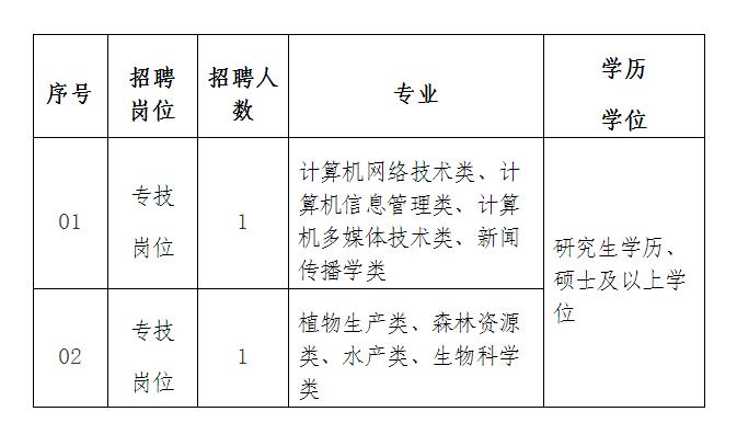 2024年12月15日 第12页