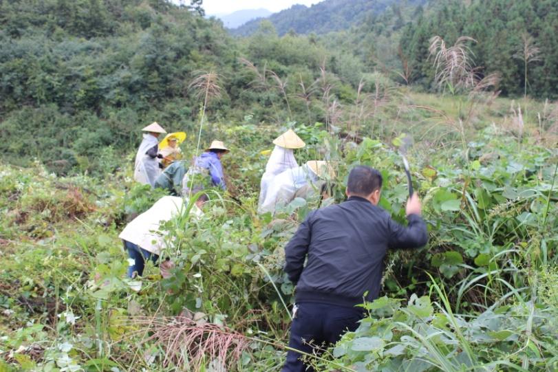 镇远县司法局最新动态简报