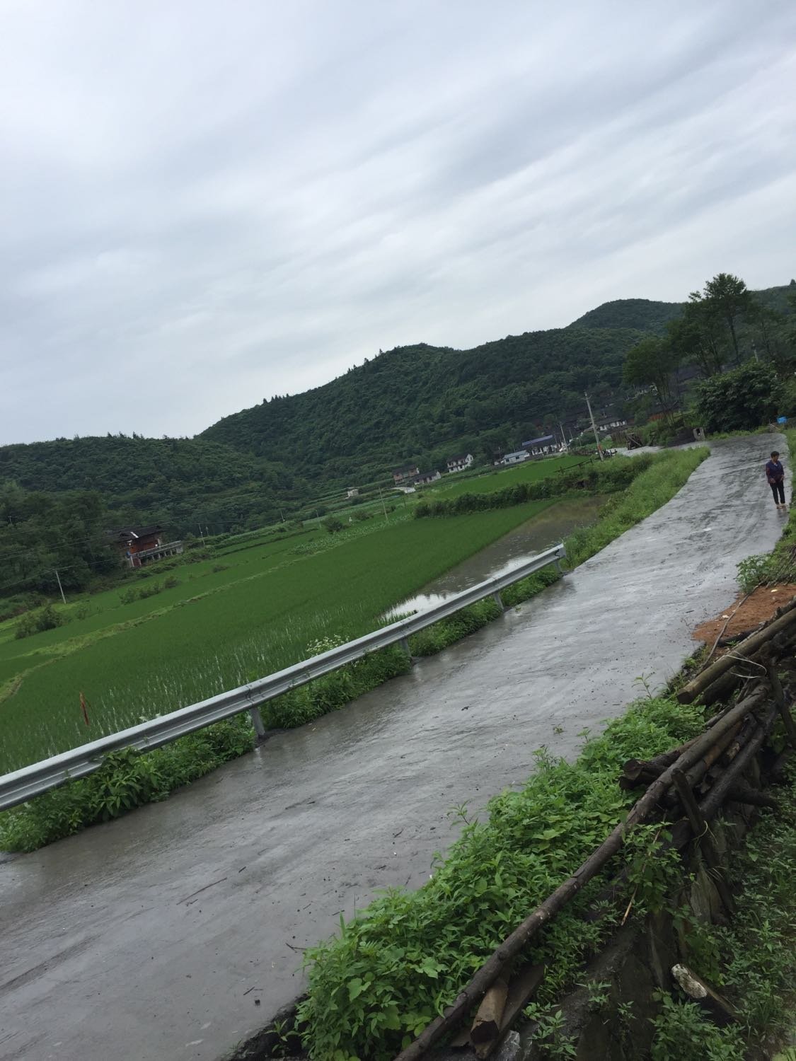 中岭山村委会天气预报更新通知