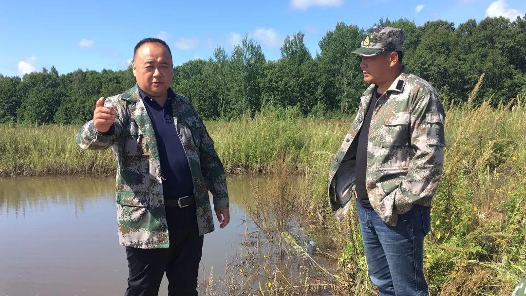 饶河镇天气预报详解，最新气象信息汇总