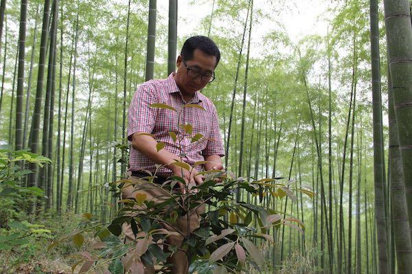 安吉县水利局新项目引领水利事业迈向新高度