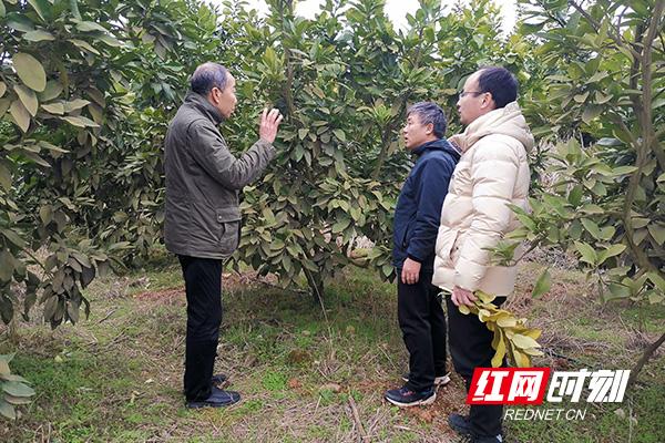 茶陵县农业农村局未来发展规划展望