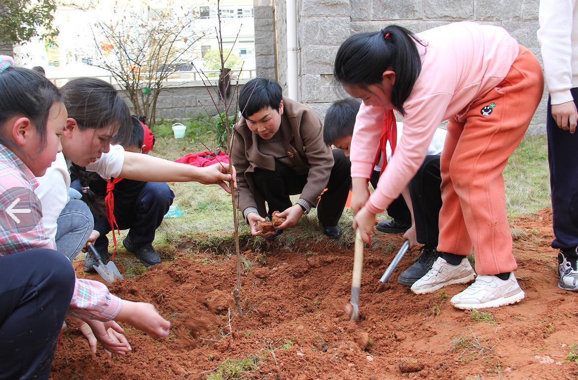 恩施市小学最新动态报道