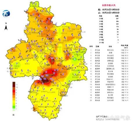 2024年12月28日 第11页