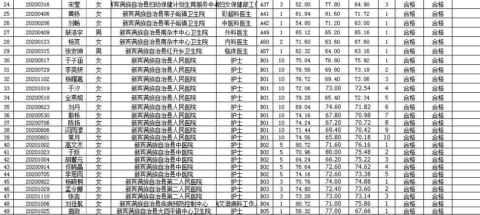 新宾满族自治县审计局最新招聘公告解读