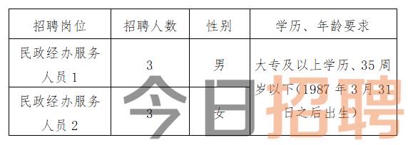 大化瑶族自治县民政局最新招聘信息全面解析