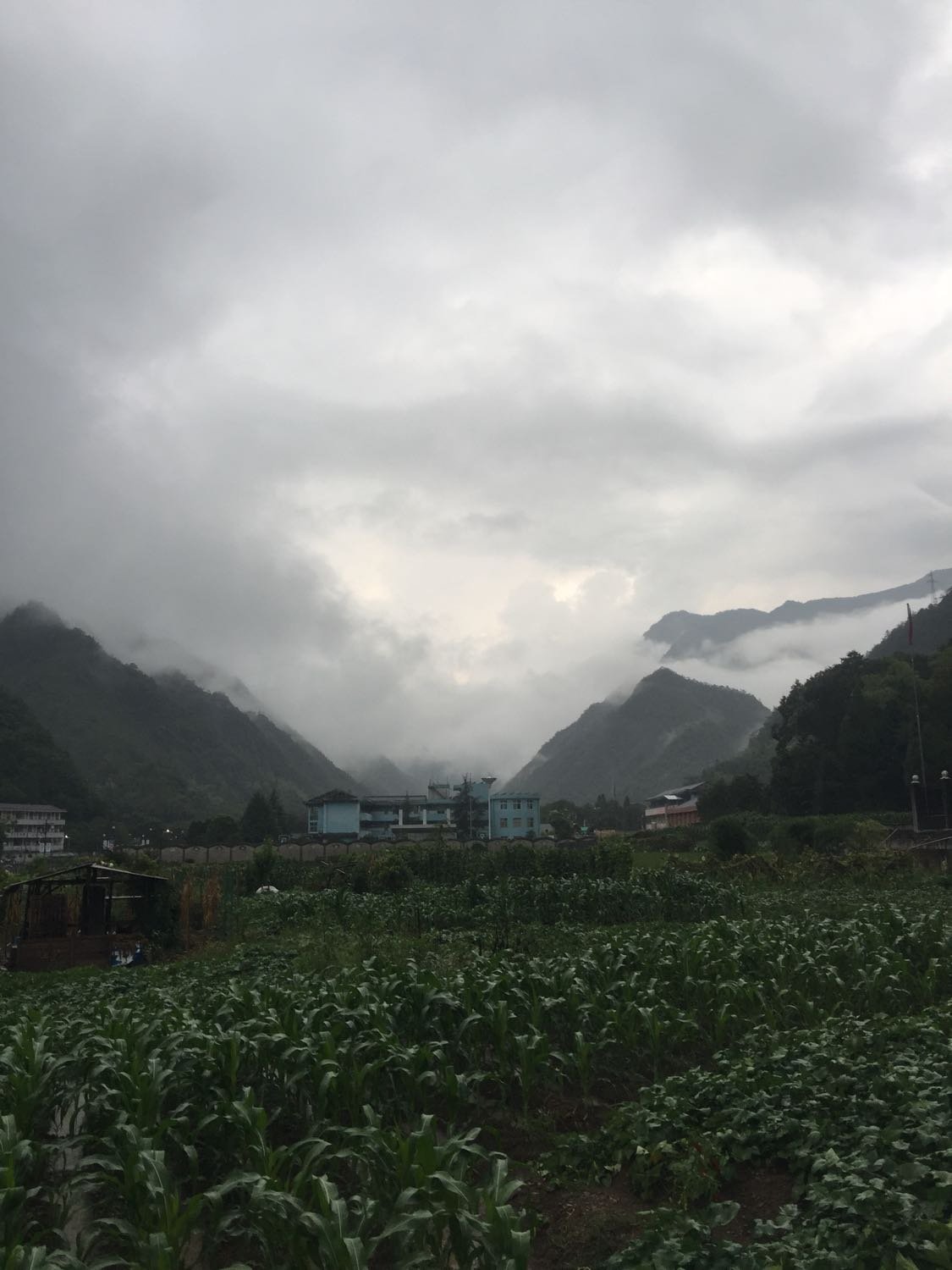 马贵镇天气预报更新通知