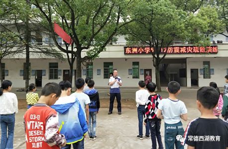 东洲区小学最新动态报道