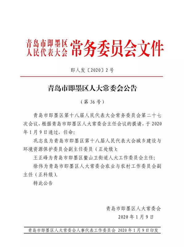 蓬莱市小学人事任命揭晓，塑造教育新篇章