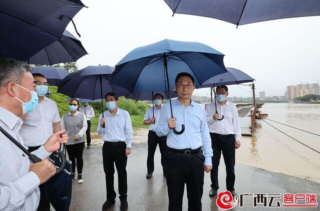 大洲乡最新天气预报